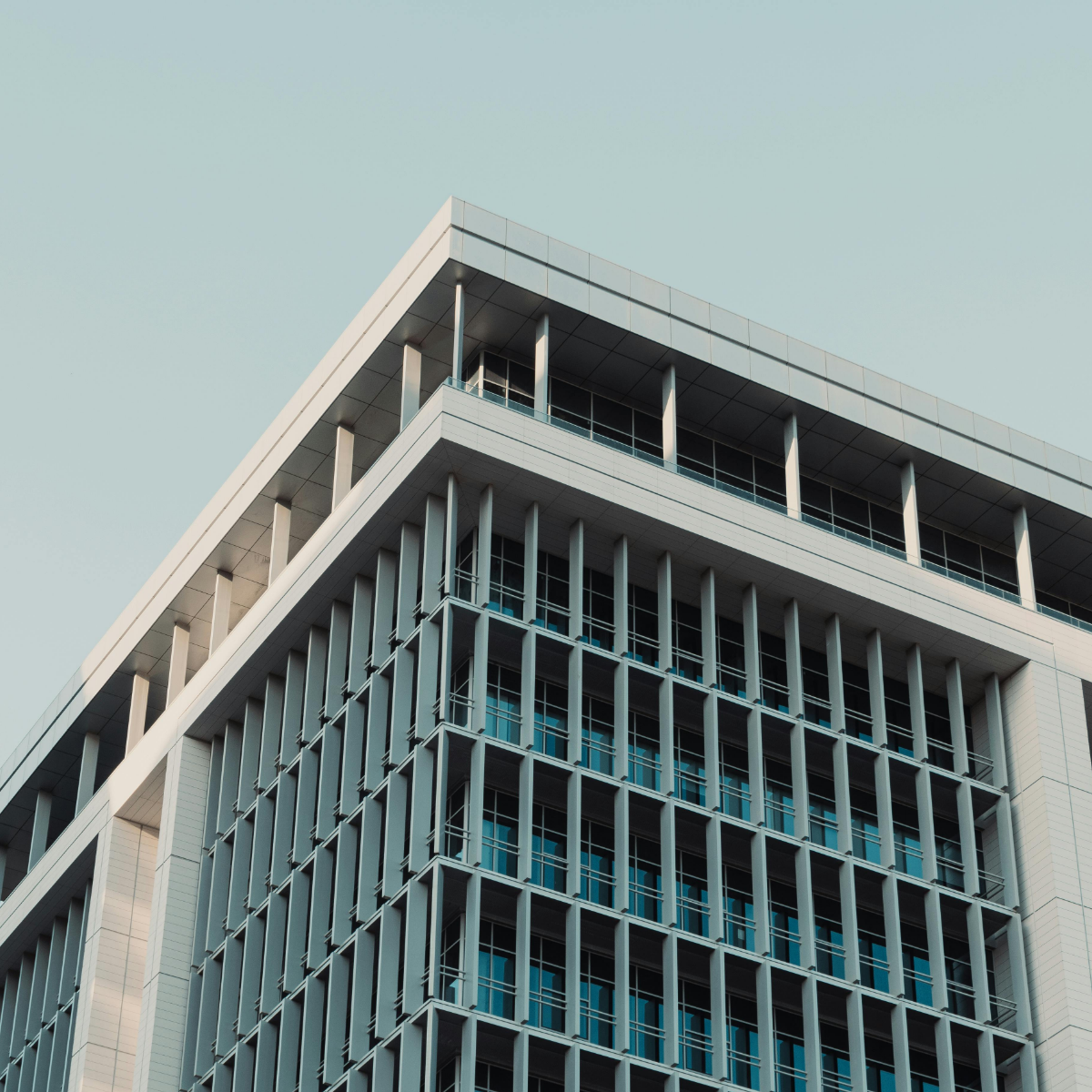 IP Law Agents